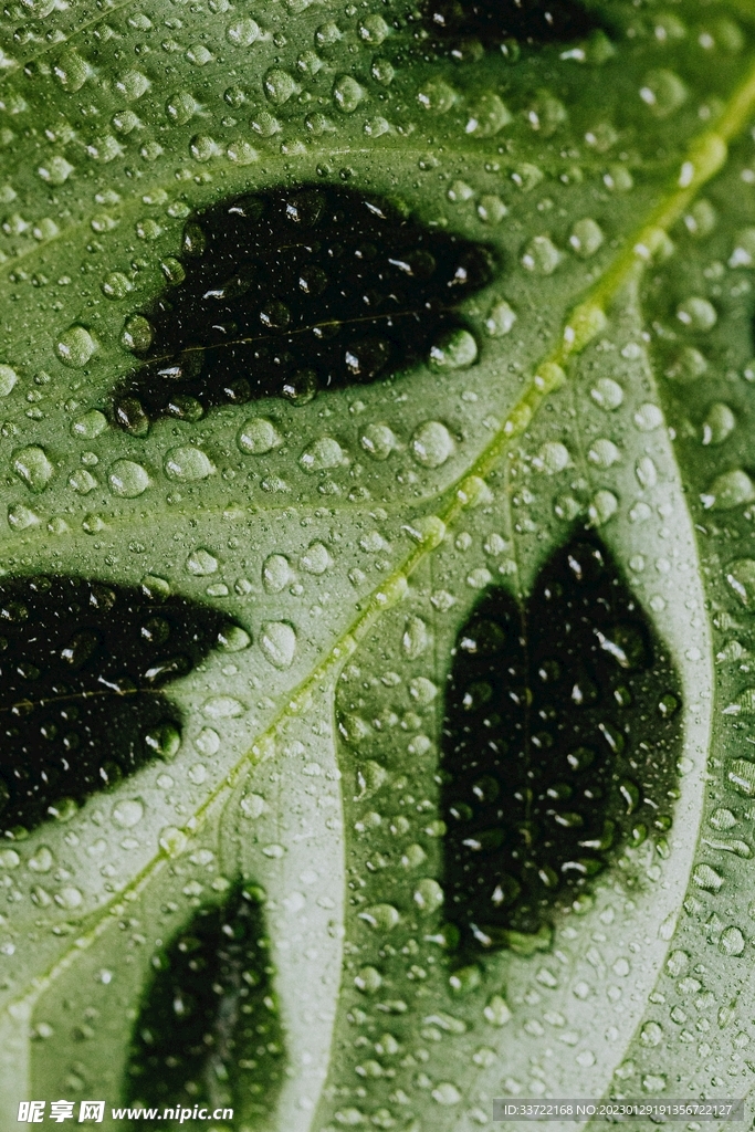水滴水珠