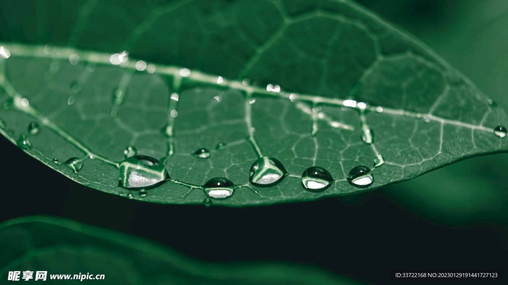 水滴水珠