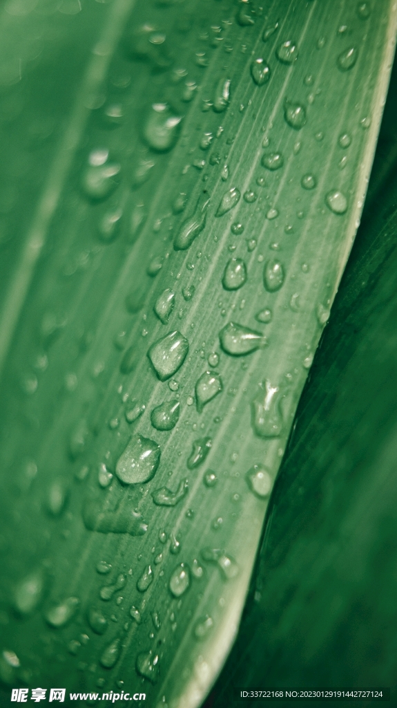 水滴水珠