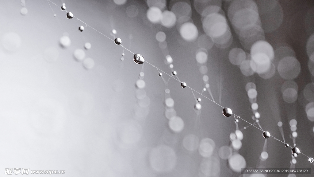 水滴水珠