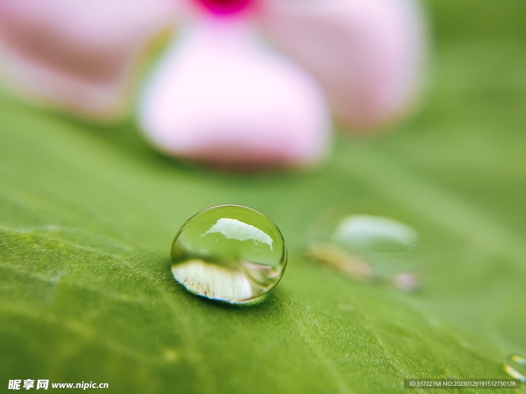 水滴水珠
