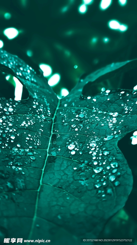 水滴水珠