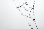 水滴水珠
