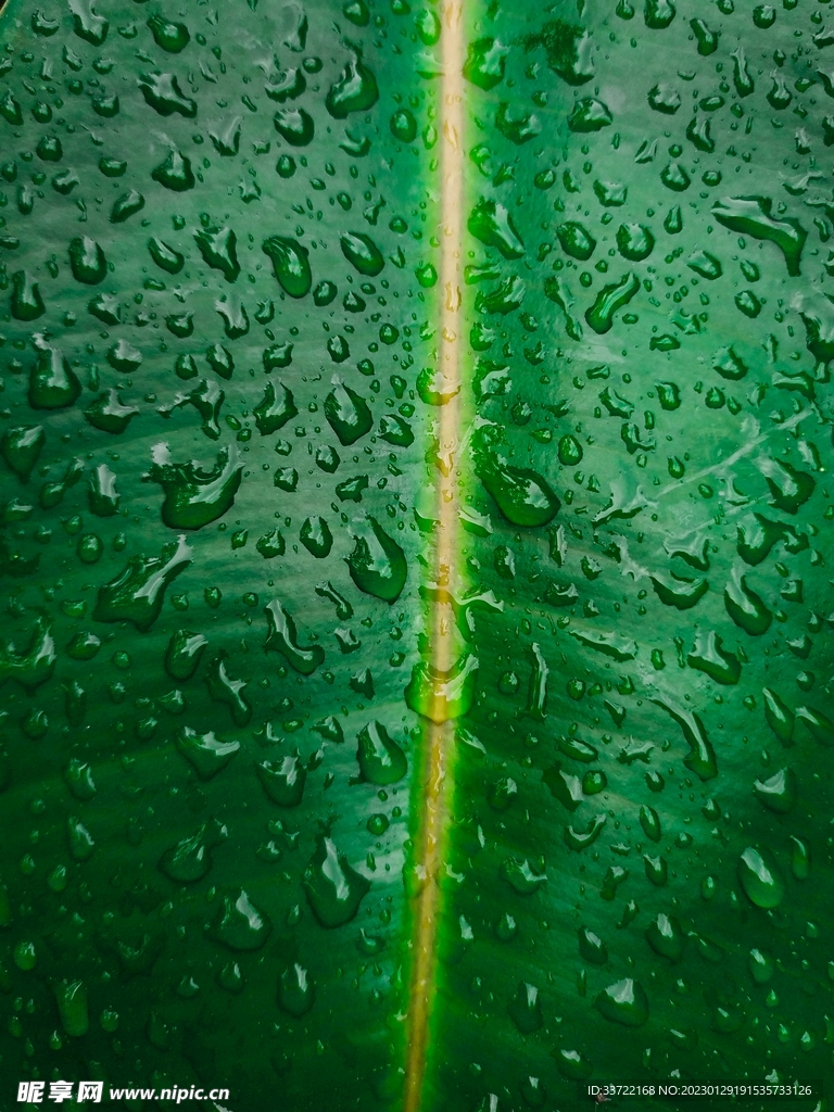 水滴水珠