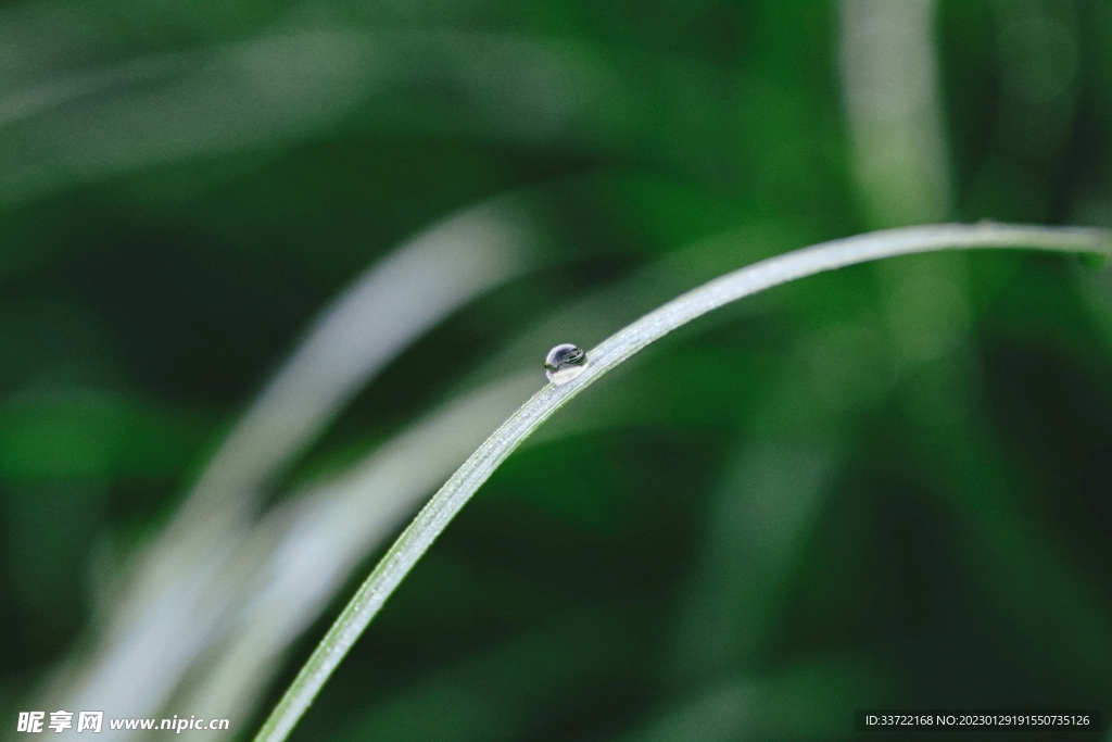 水滴水珠