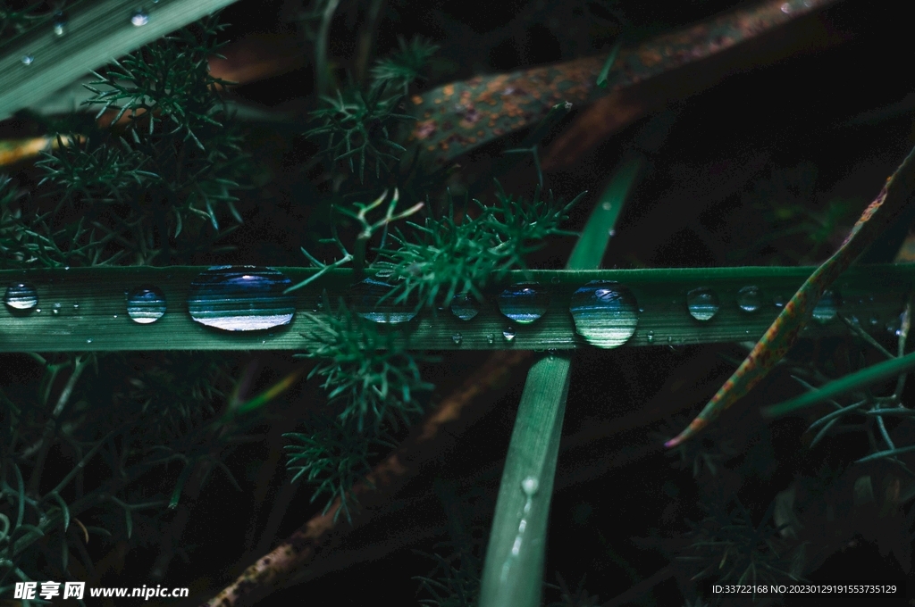 水滴水珠