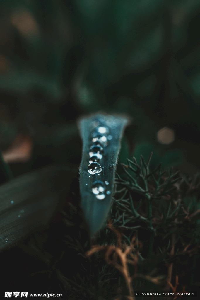 水滴水珠