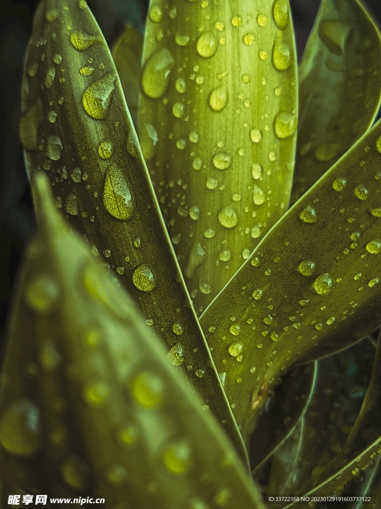 水滴水珠