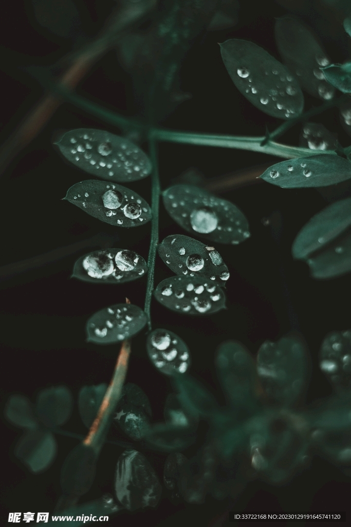 水滴水珠