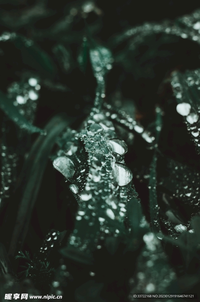 水滴水珠