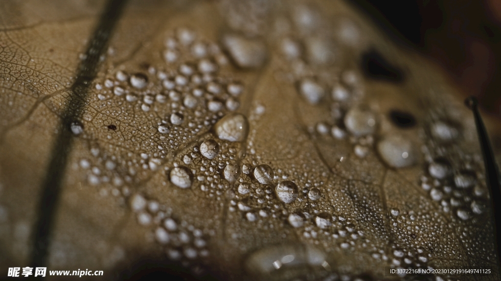 水滴水珠