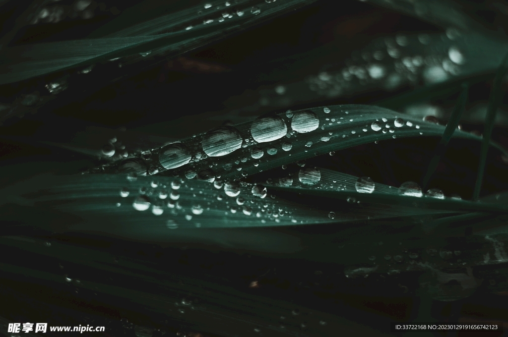 水滴水珠