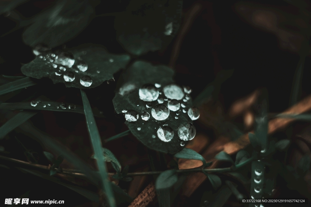 水滴水珠