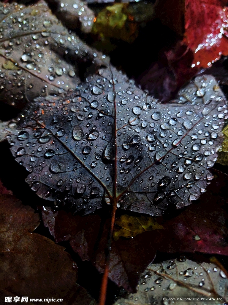 水滴水珠