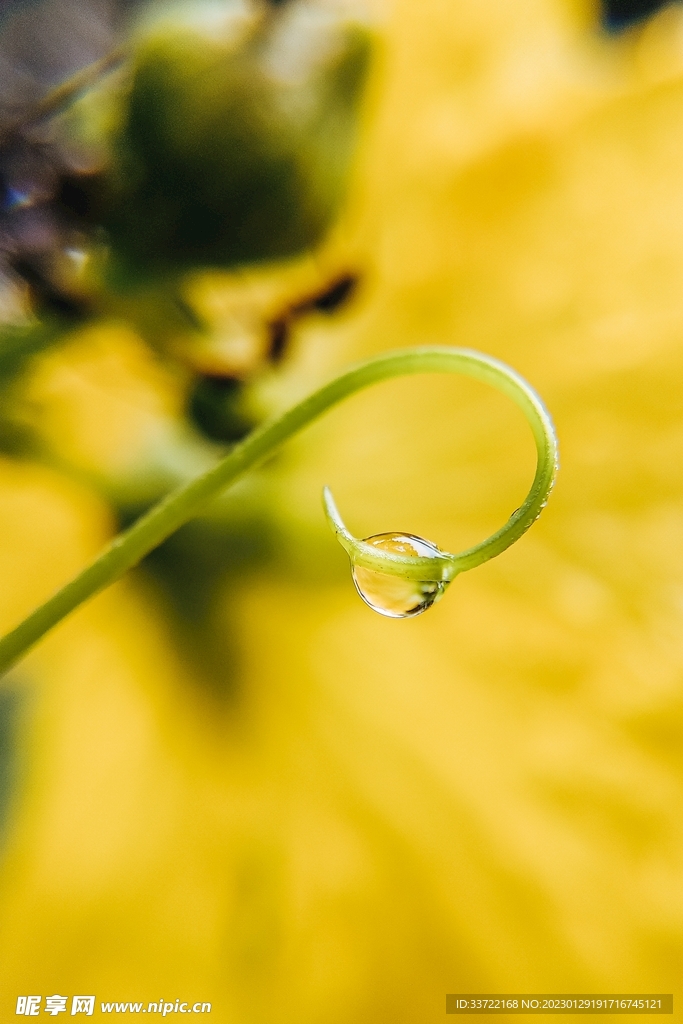 水滴水珠