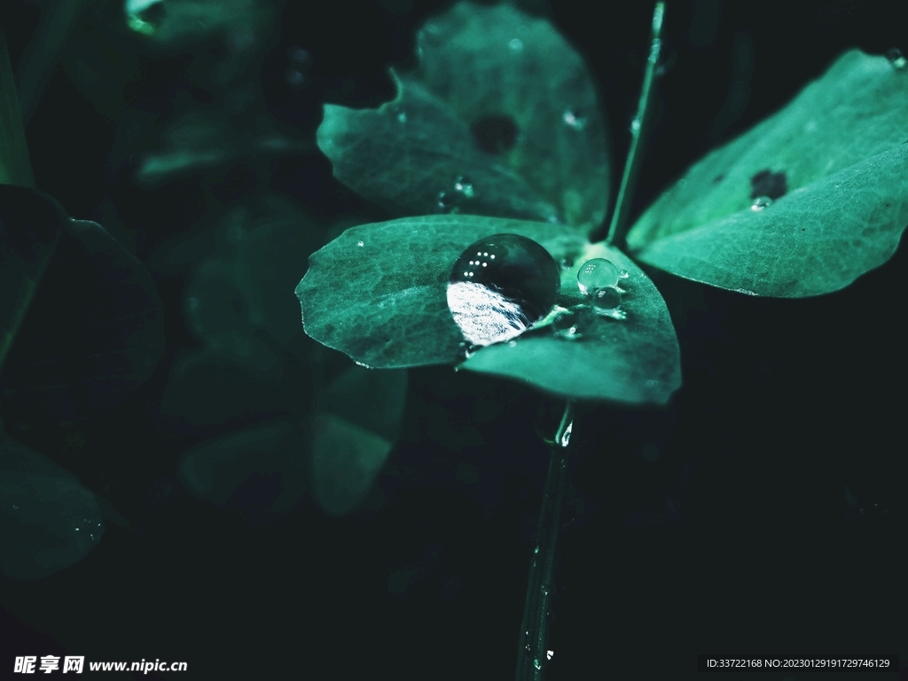 水滴水珠