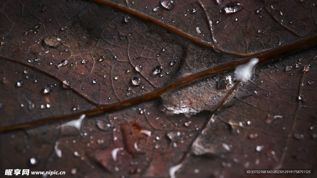 水滴水珠