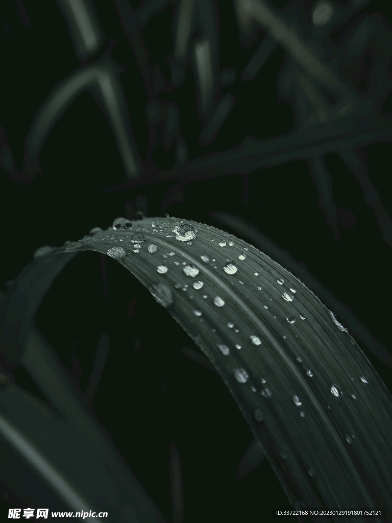 水滴水珠
