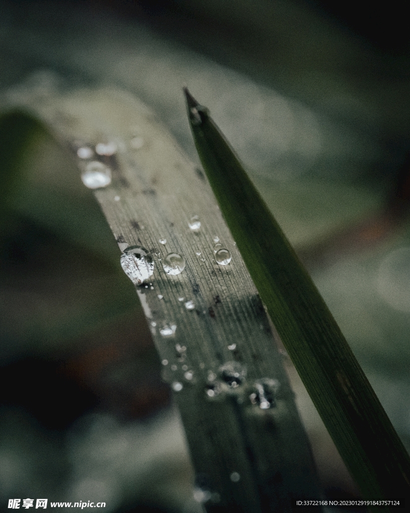 水滴水珠