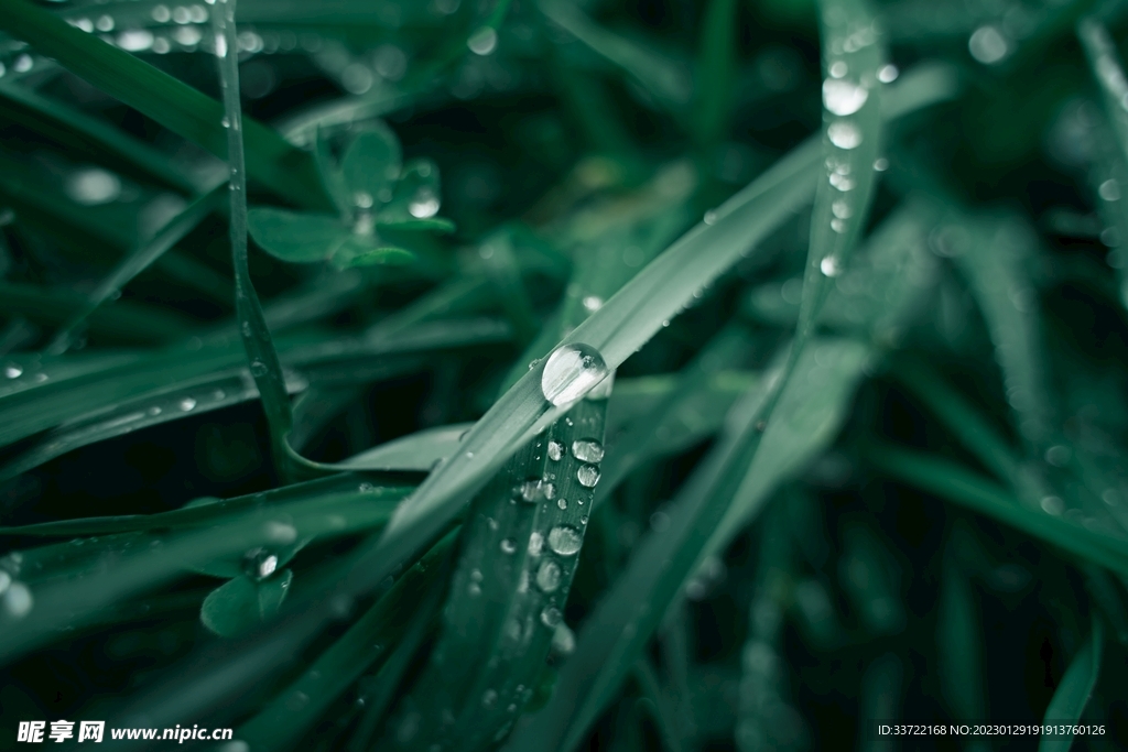水滴水珠