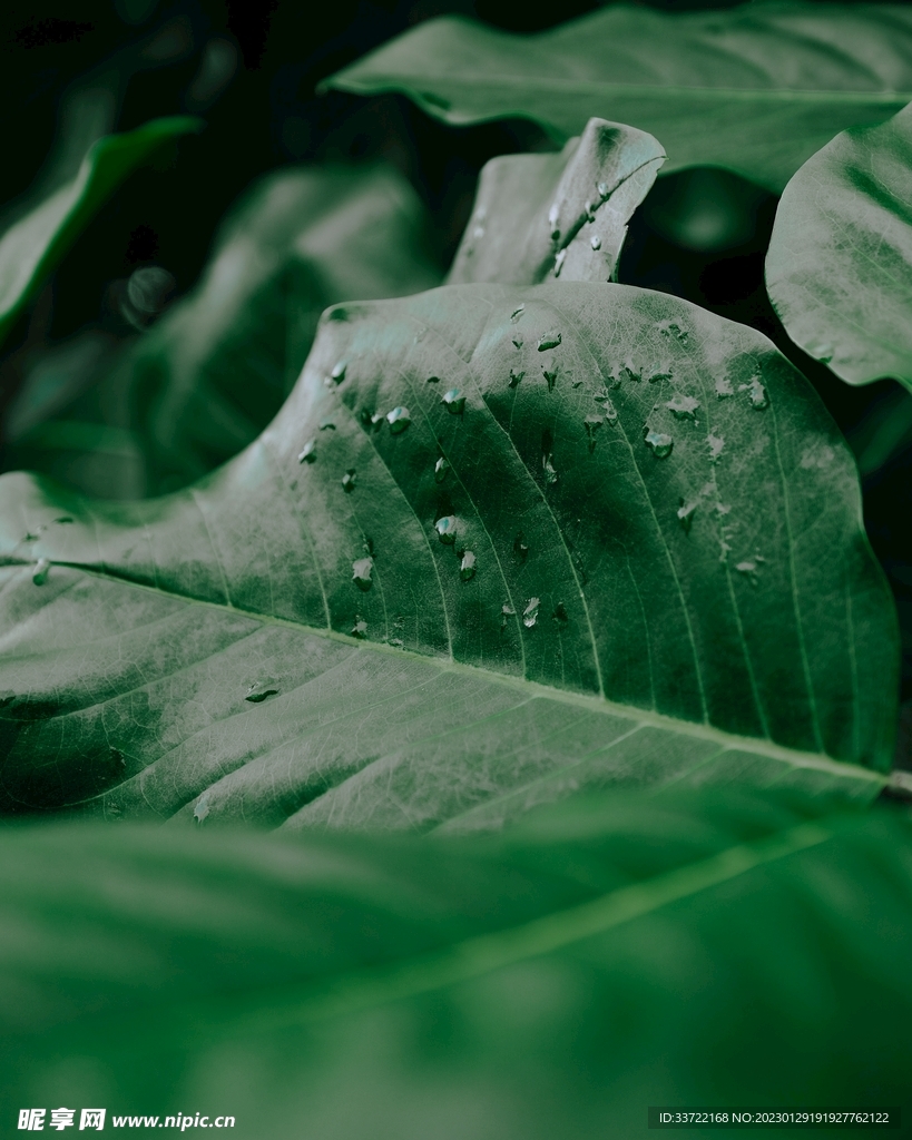 水滴水珠