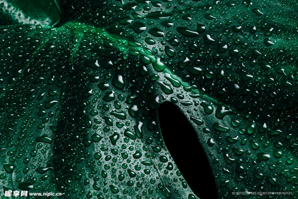 水滴水珠
