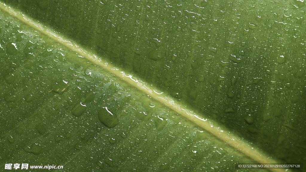 水滴水珠