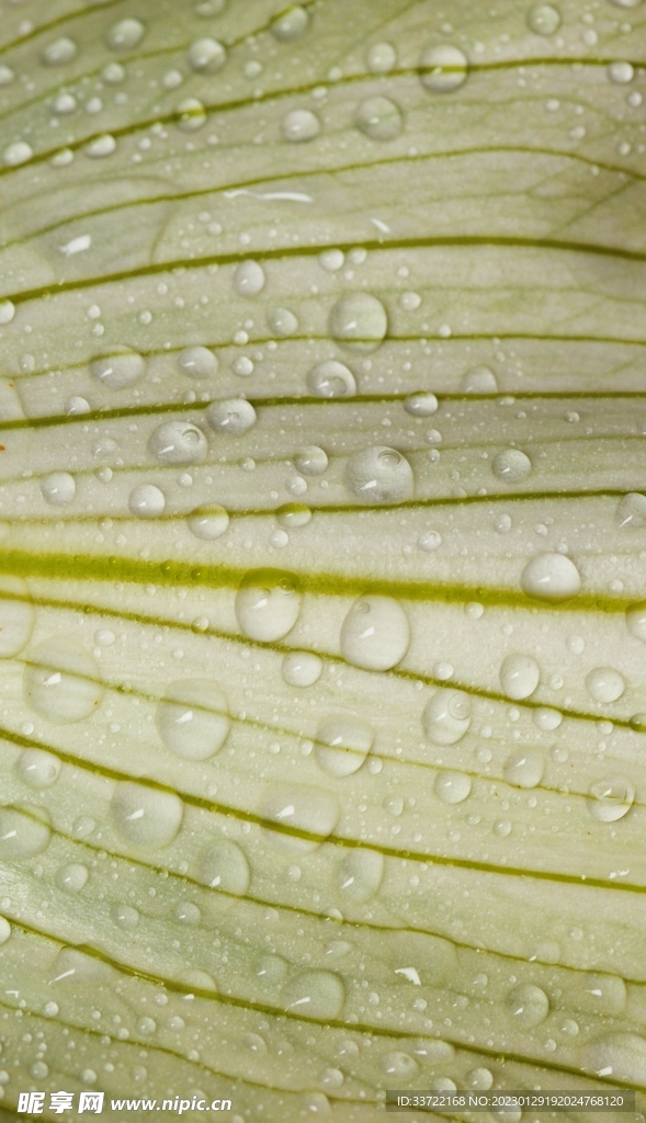 水滴水珠