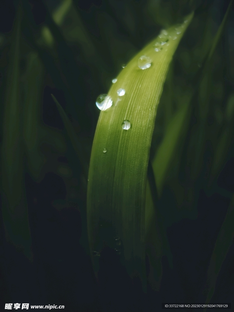 水滴水珠
