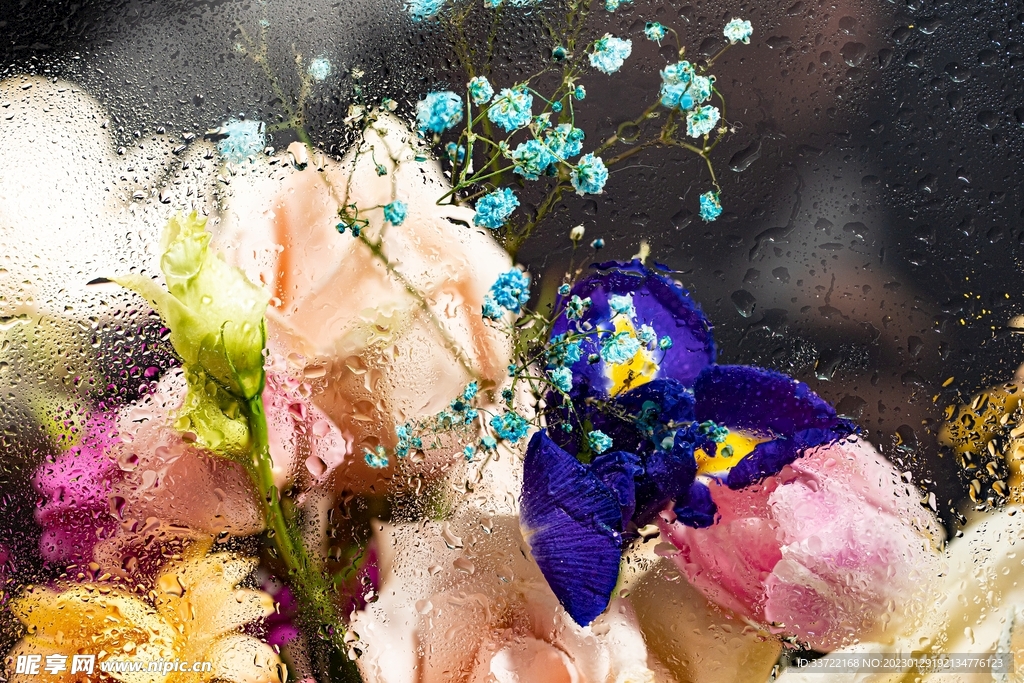 水滴水珠