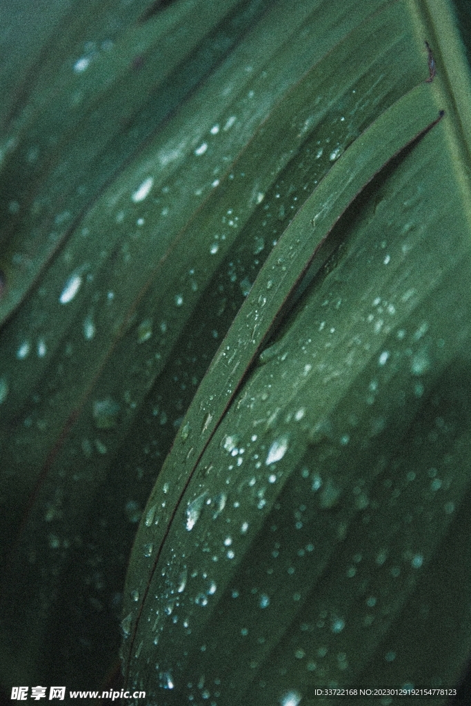 水滴水珠