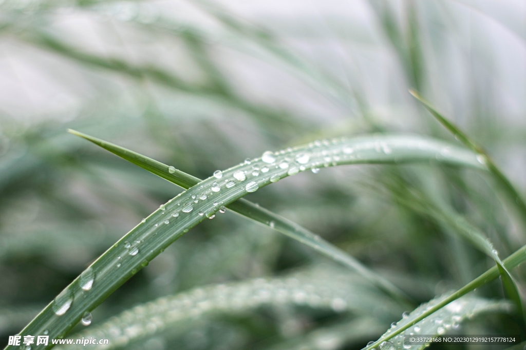 水滴水珠