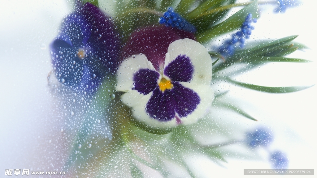 水滴水珠