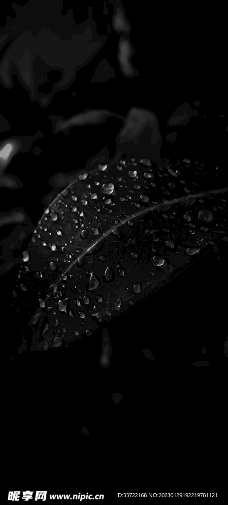 水滴水珠