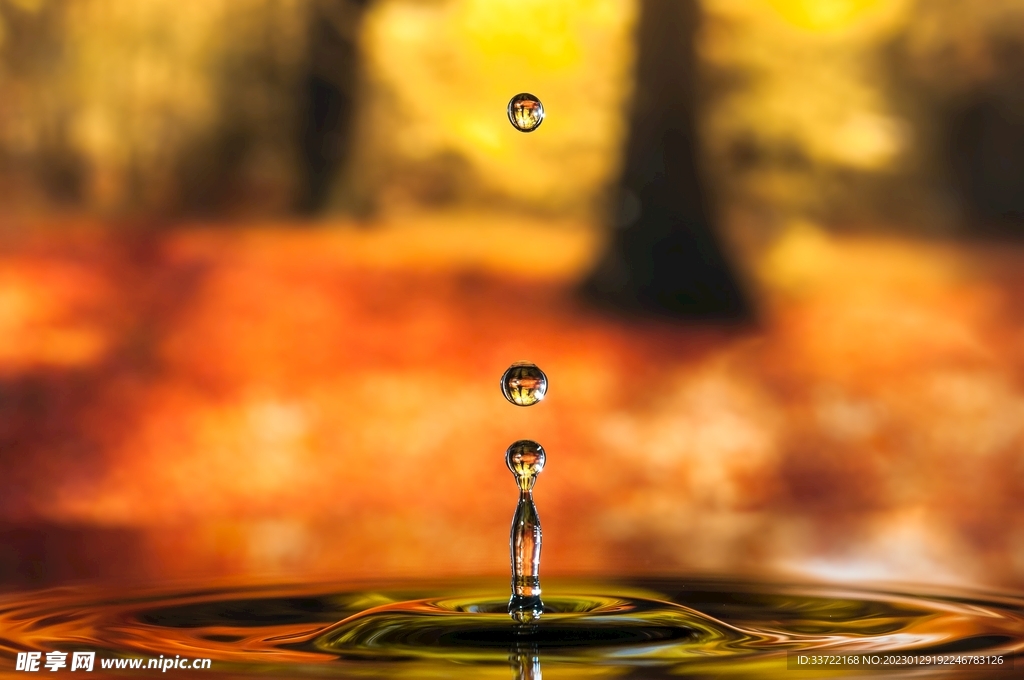 水滴水珠