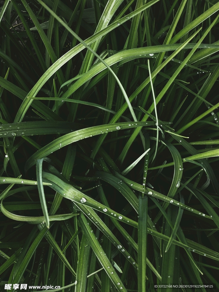 水滴水珠