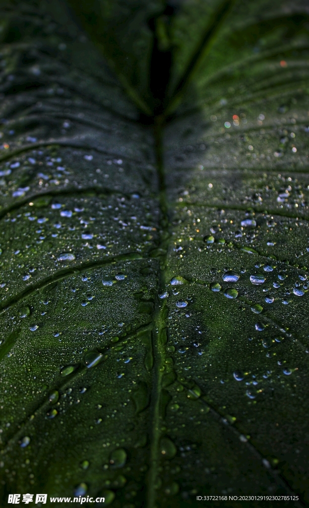 水滴水珠