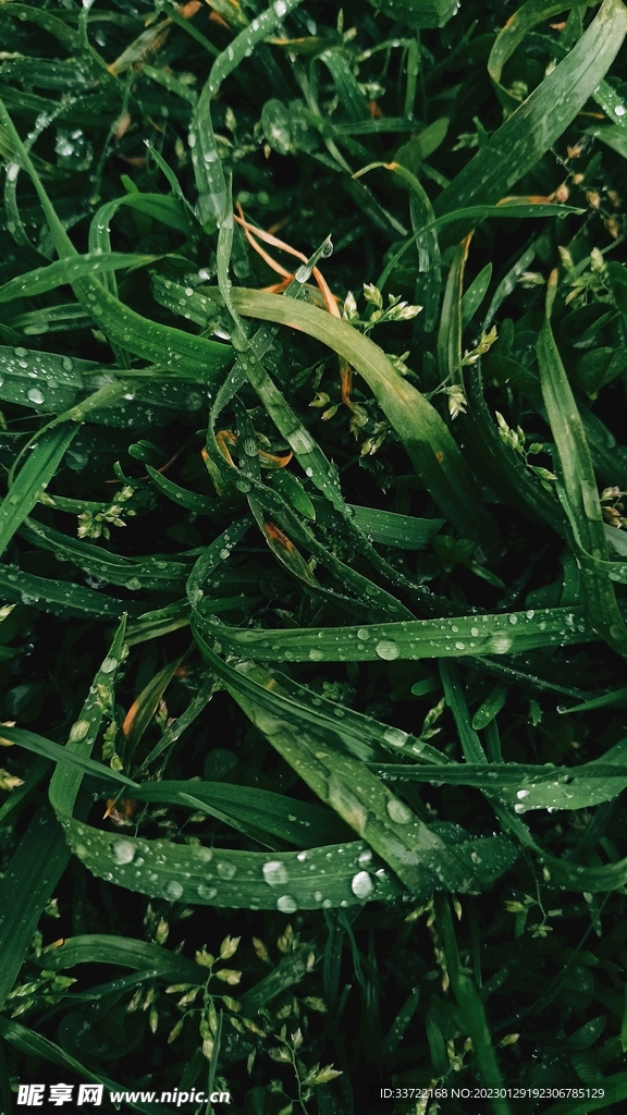 水滴水珠