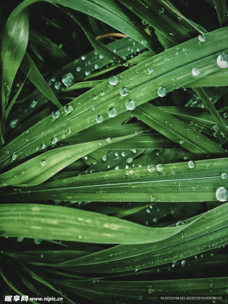 水滴水珠