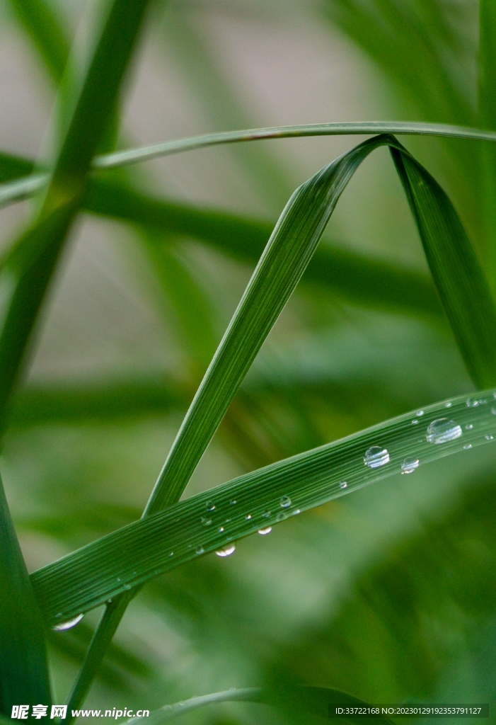 水滴水珠