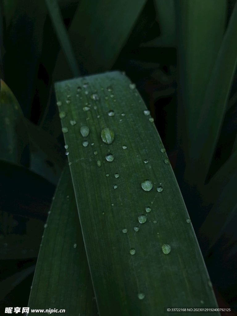 水滴水珠