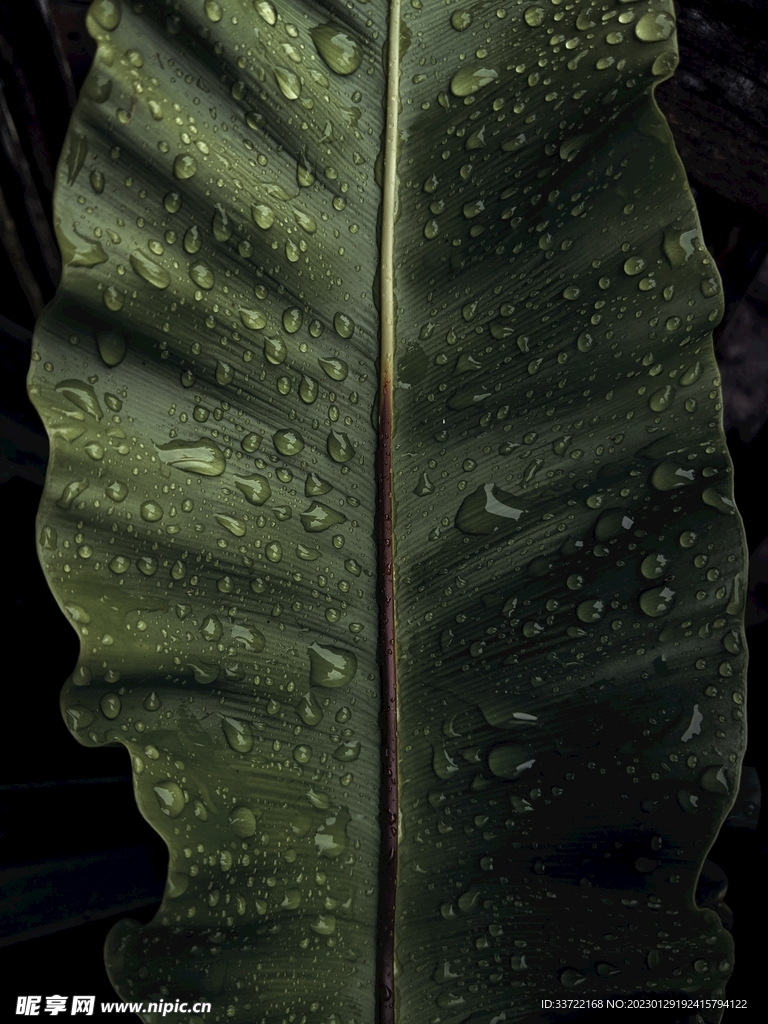 水滴水珠