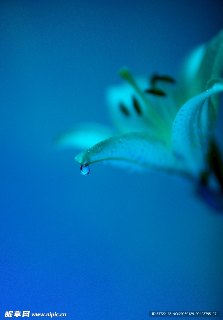 水滴水珠