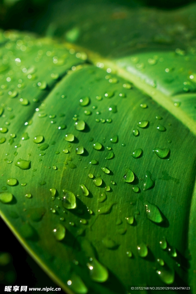 水滴水珠