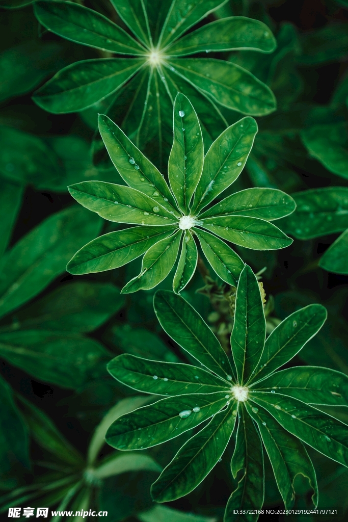 水滴水珠