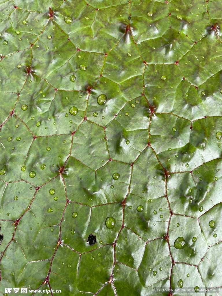 水滴水珠