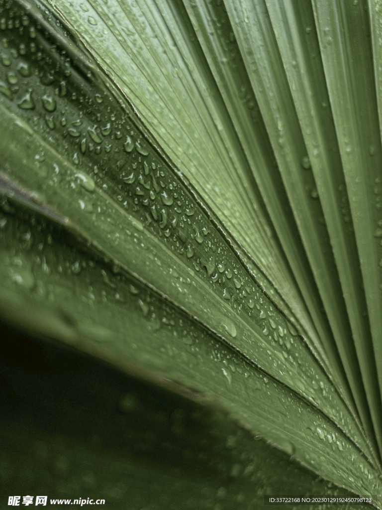 水滴水珠