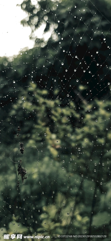 水滴水珠