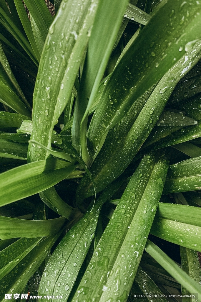 水滴水珠