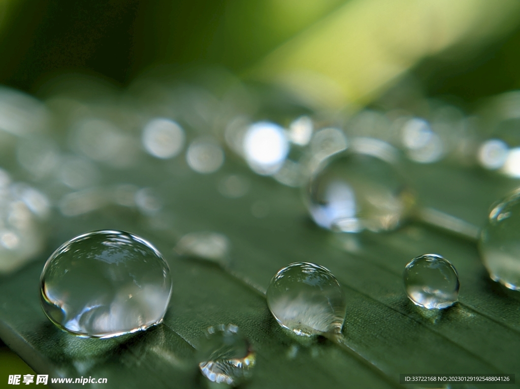 水滴水珠